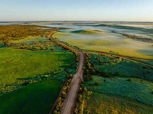 MidWest Paddock to Plate
