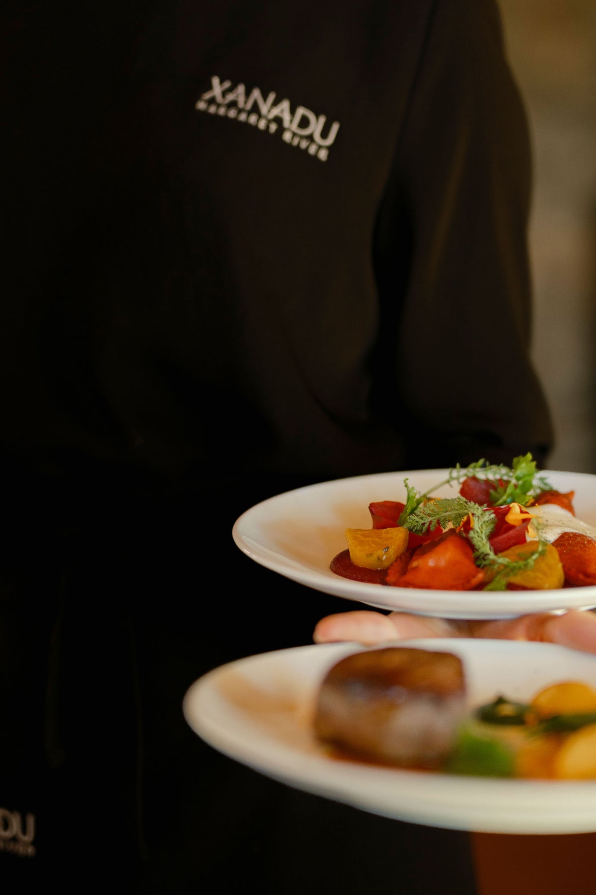 Xanadu restaurant staff member carrying plated dishes of tomato salad and seared meat