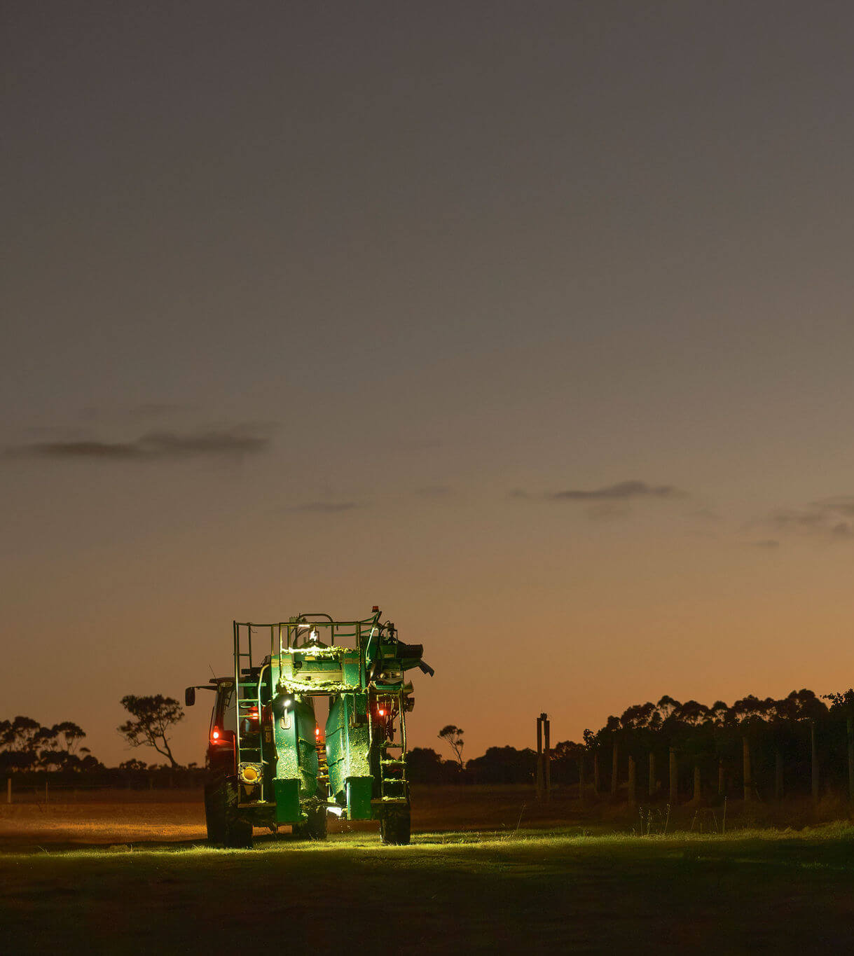 Grape harvesting machine working a vineyard row at dusk with lights illuminating the vines