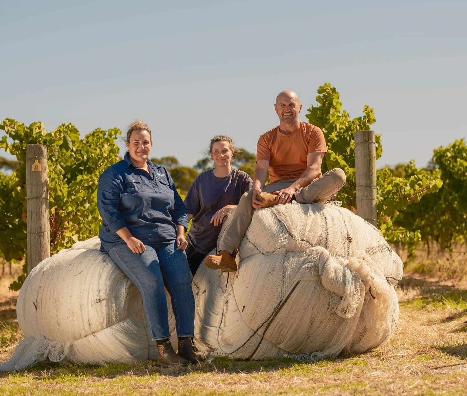 Three Xanadu vineyard team members sitting and smiling on a large bundle of netting among the vines