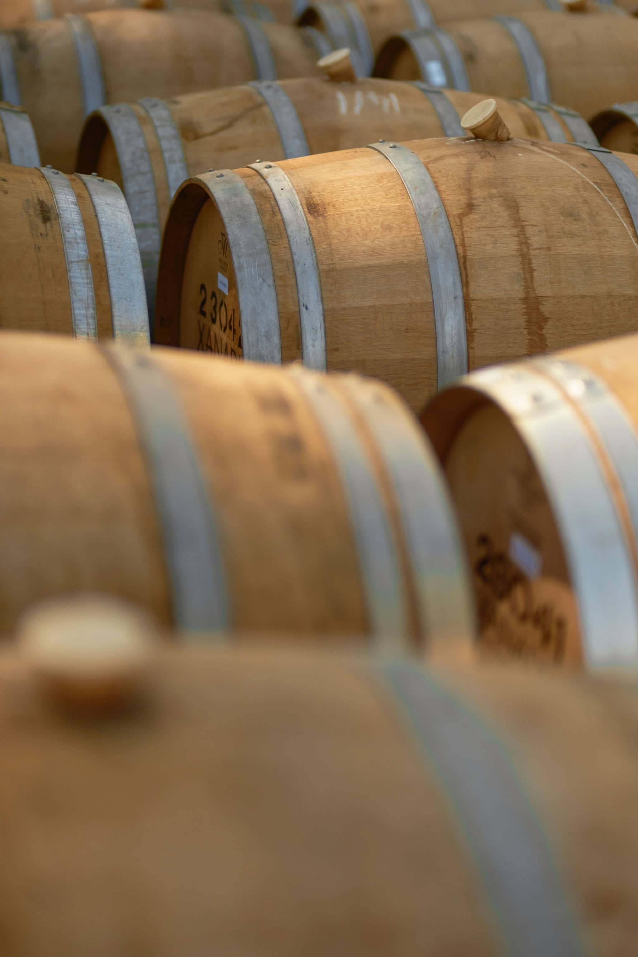 Rows of oak wine barrels in the Xanadu barrel hall