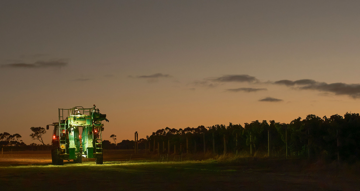 Grape harvesting machine working a vineyard row at dusk with lights illuminating the vines
