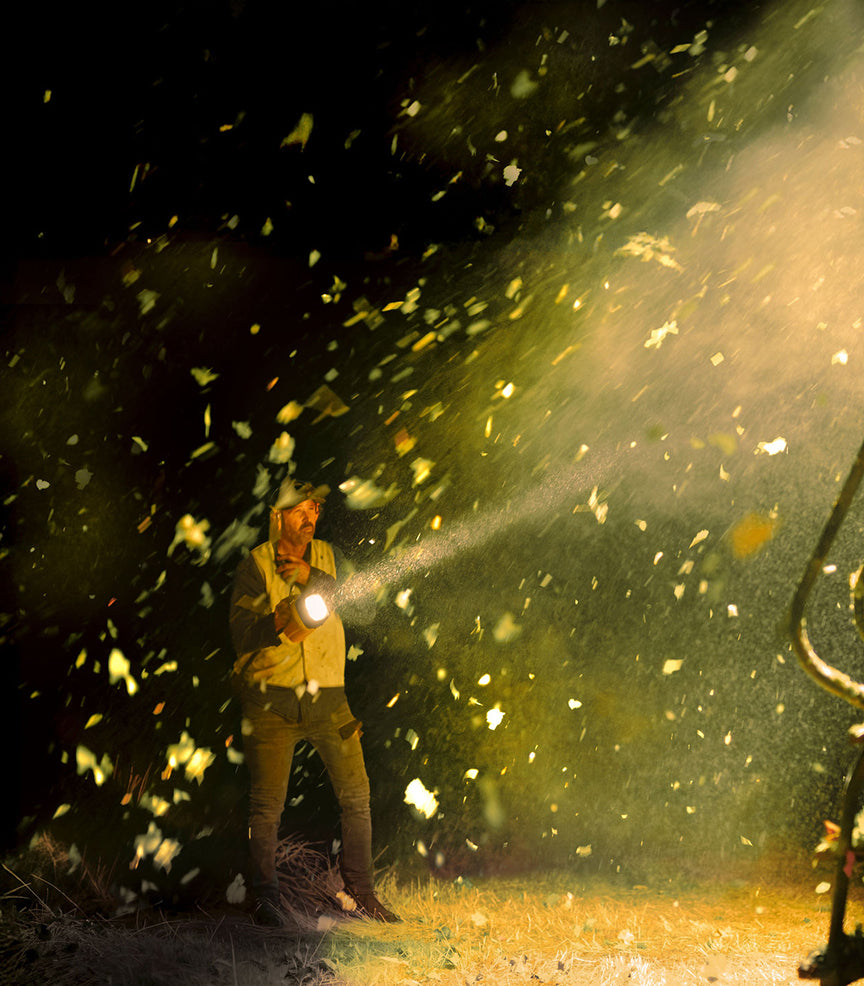 Vineyard worker using a torch at night amid a swirl of leaves and debris