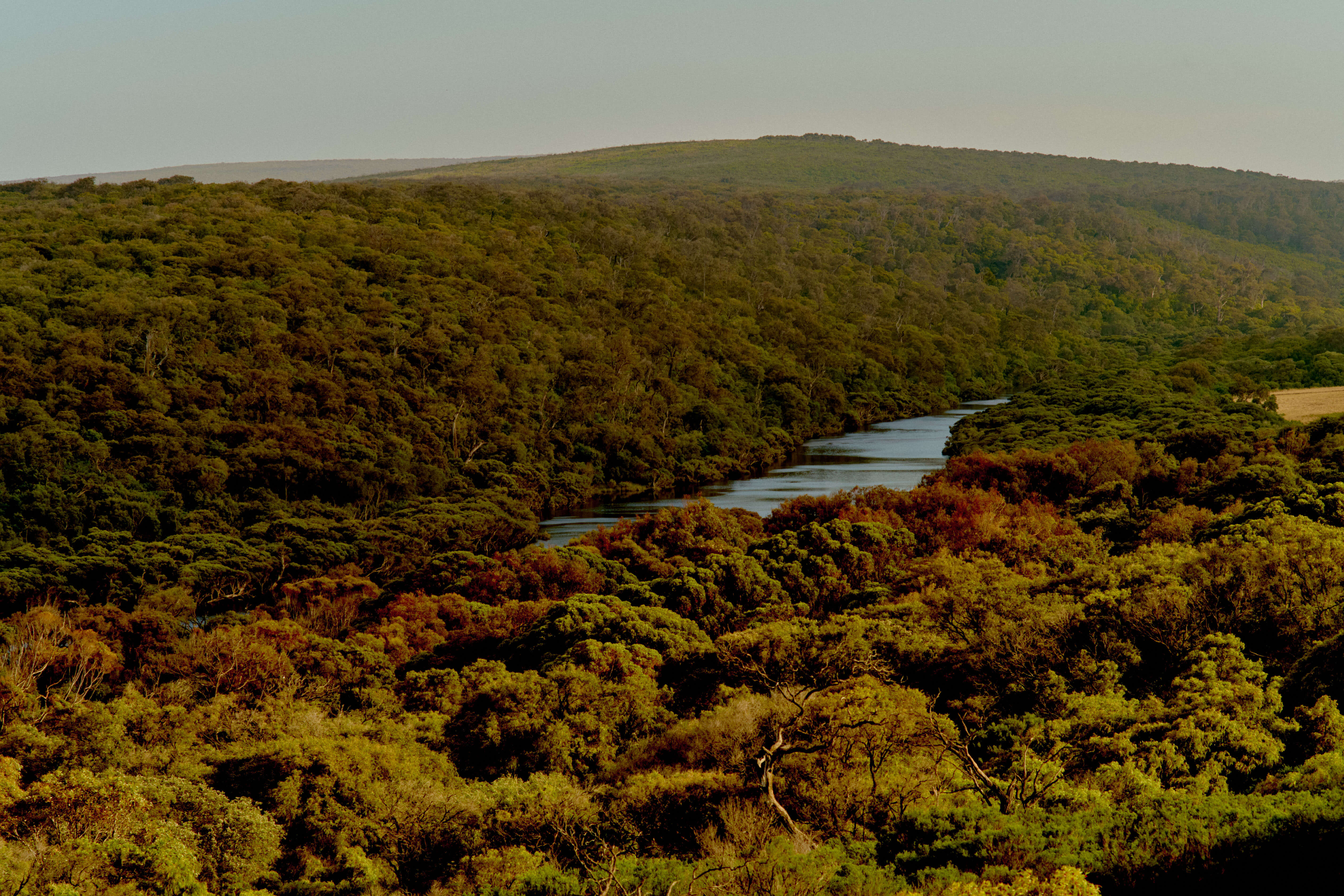 Aerial view of a river winding through bushland hills near Margaret River