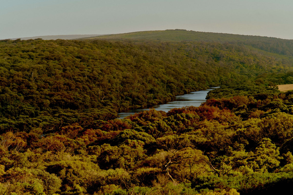 Aerial view of a river winding through bushland hills near Margaret River