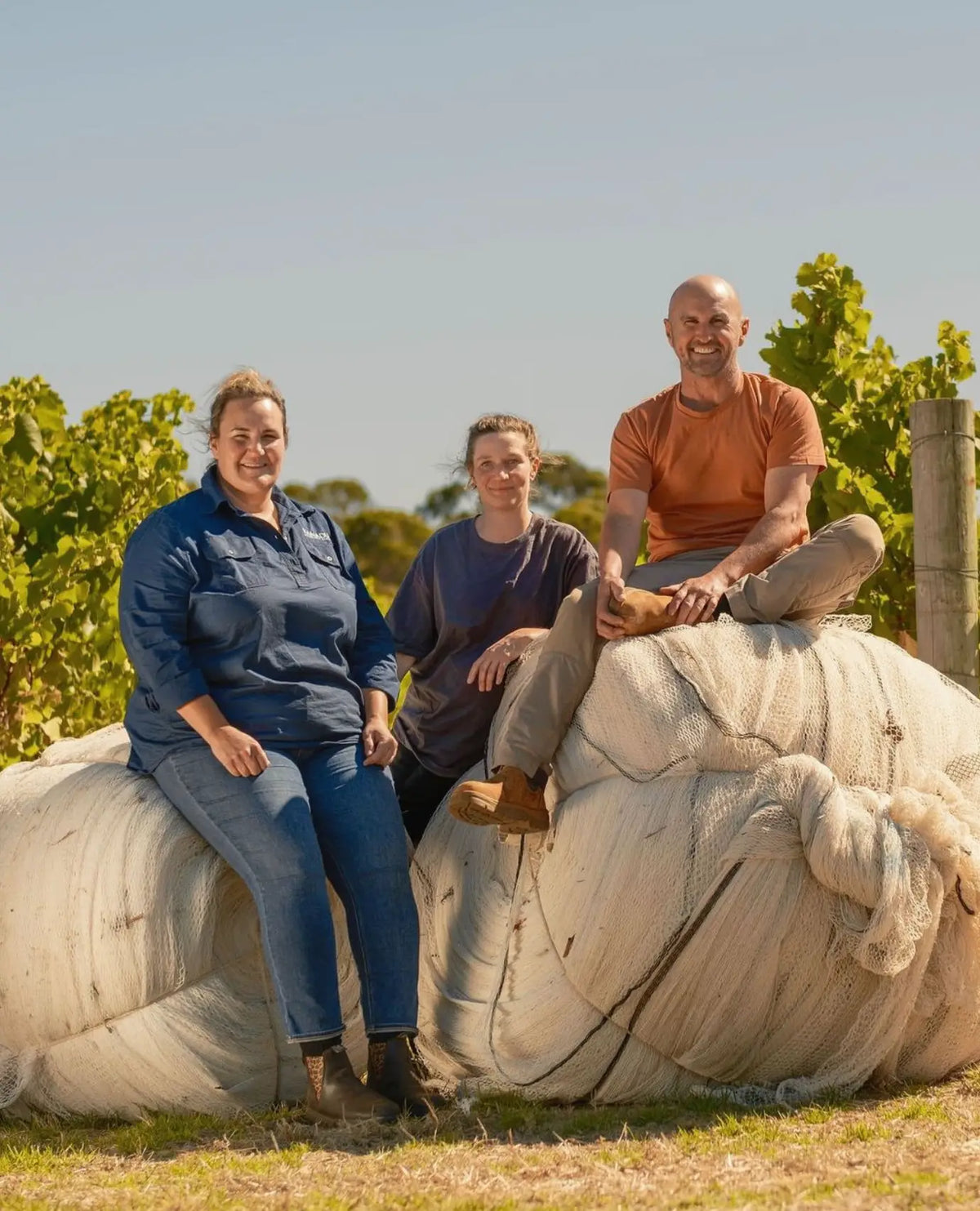 Three Xanadu team members sitting and smiling on a rolled bundle of vineyard netting