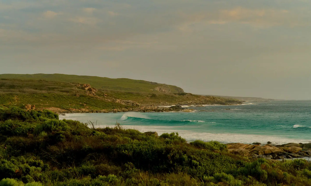 Waves rolling onto a rocky, scrub-covered coastline near Margaret River