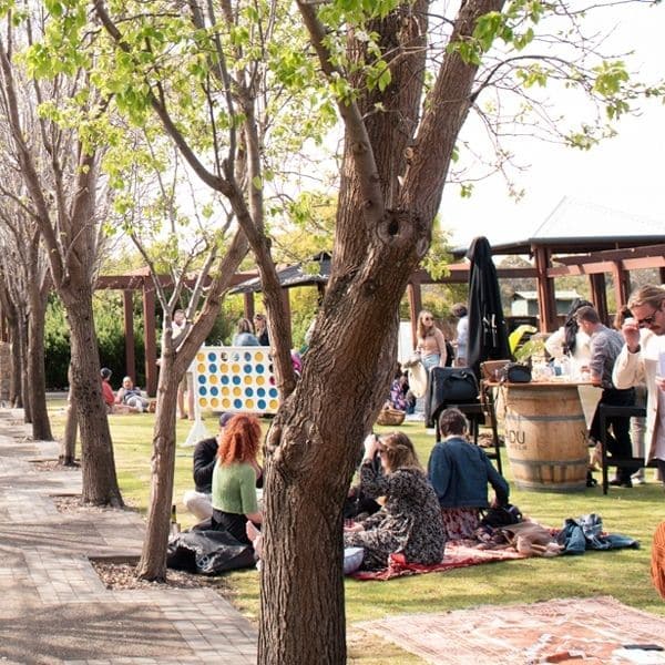 Picnic at Xanadu 2026